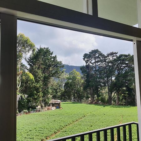 Green Mount View Two Bed Room Apartment Nuwara Eliya Exterior foto